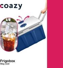 Koelbox Met Wielen Voor Auto & Camping Warm En Koud 40L - Frigobox Elektrisch 12v 230 Volt - MiniBar - Mini Koelkast | Verkoelt En Verwarmt | Eco-modus - Minibar - Mini Koelkast -Buiten Kamperen 1114x1200 1