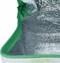 Kleine Lunch/sixpack Koeltas - Dinosaurus Print - 21 X 16 Cm - 4,7 L -Buiten Kamperen 1146x1200 3