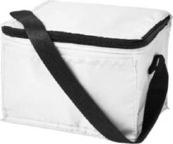 Koeltas - Mini Koeltas - Geschikt Voor 6 Blikjes - Compact Koeltas + 2 Koelelementen - Rheme 8 Koeltas - Mini Koeltas - Geschikt Voor 6 Blikjes - Compact Koeltas + 2 Koelelementen - Rheme -Buiten Kamperen 1200x1001