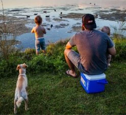 Coleman 16QT Performance Tricolor Koelbox - 15L - Blauw/Grijs -Buiten Kamperen 1200x1094 10