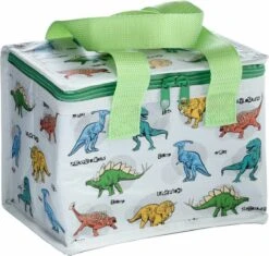 Kleine Lunch/sixpack Koeltas - Dinosaurus Print - 21 X 16 Cm - 4,7 L -Buiten Kamperen 1200x1140 4