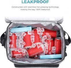 Lifewit 20L Koeltas | 20 Liter | Opvouwbaar | Koelbox-Koeltas | Isolatietas/ Picknicktas Voor Levensmiddelen / Grijs -Buiten Kamperen 1200x1153 4