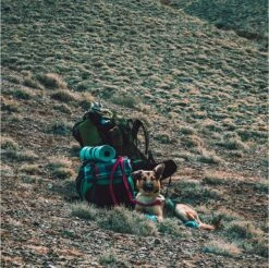 LOWLAND OUTDOOR® Donzen Slaapzak - Super Compact Blanket - 210 X 80 Cm - 590gr +8°C 21 LOWLAND OUTDOOR® Donzen Slaapzak - Super Compact Blanket - 210 X 80 Cm - 590gr +8°C -Buiten Kamperen 1200x1196 15