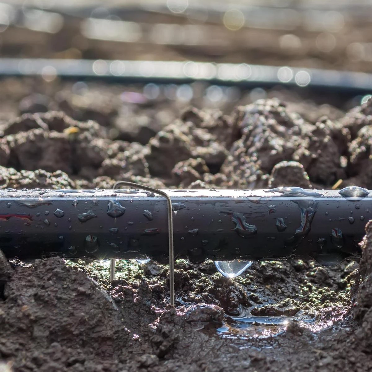 Relaxdays 100x Gronddoekpen - Grondanker - Haring - Gronddoekhaak - Grondhaken - 2mm 2 Relaxdays 100x Gronddoekpen - Grondanker - Haring - Gronddoekhaak - Grondhaken - 2mm - Afbeelding 2