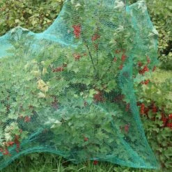 Relaxdays 100x Gronddoekpen - Grondanker - Haring - Gronddoekhaak - Grondhaken - 2mm 10 Relaxdays 100x Gronddoekpen - Grondanker - Haring - Gronddoekhaak - Grondhaken - 2mm -Buiten Kamperen 1200x1200 1107