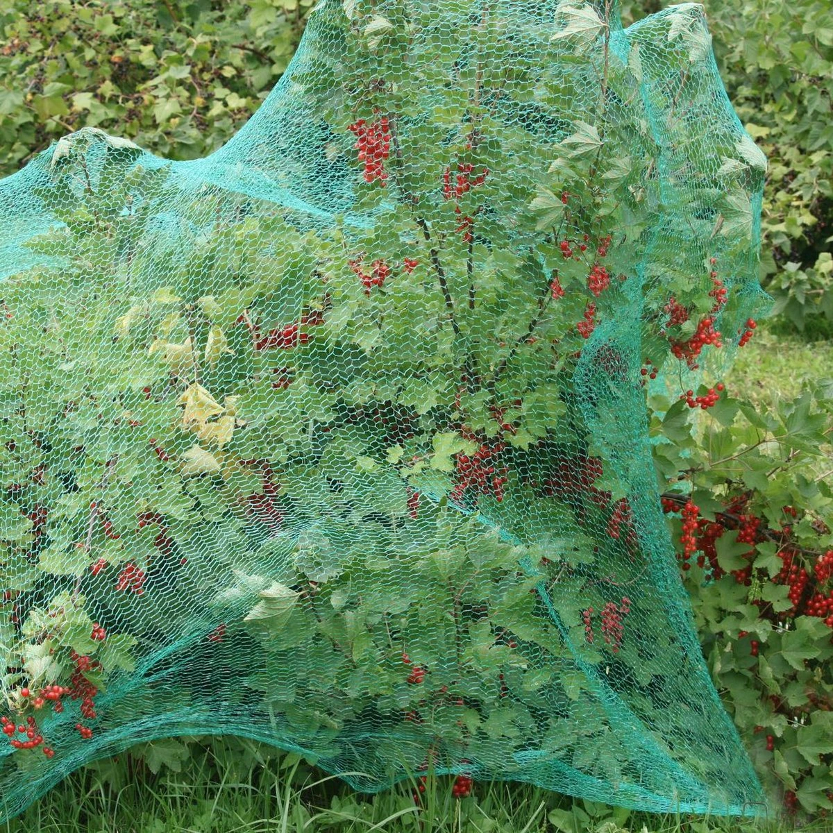 Relaxdays 100x Gronddoekpen - Grondanker - Haring - Gronddoekhaak - Grondhaken - 2mm 3 Relaxdays 100x Gronddoekpen - Grondanker - Haring - Gronddoekhaak - Grondhaken - 2mm - Afbeelding 3