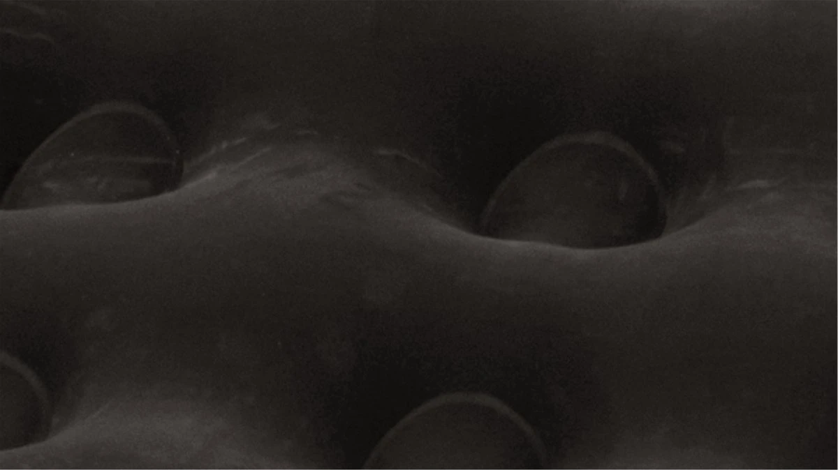 Outwell Luchtbed Flock Classic Tweepersoons Zwart 3 Outwell Luchtbed Flock Classic Tweepersoons Zwart - Afbeelding 3