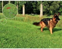 PROPLUS Pro Plus Aanlegspiraal - Hondenpen Met Handvat En Ring - Lengte 39 Cm -Buiten Kamperen 1200x959 1